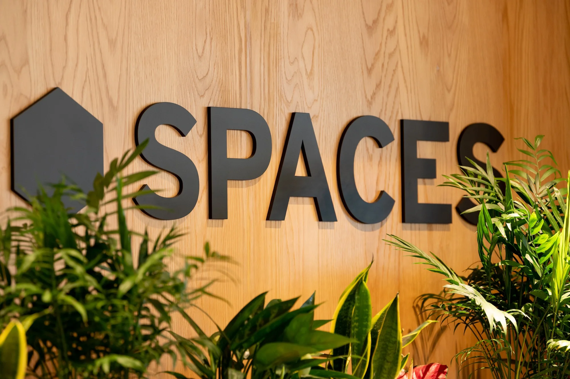 Spaces Logo