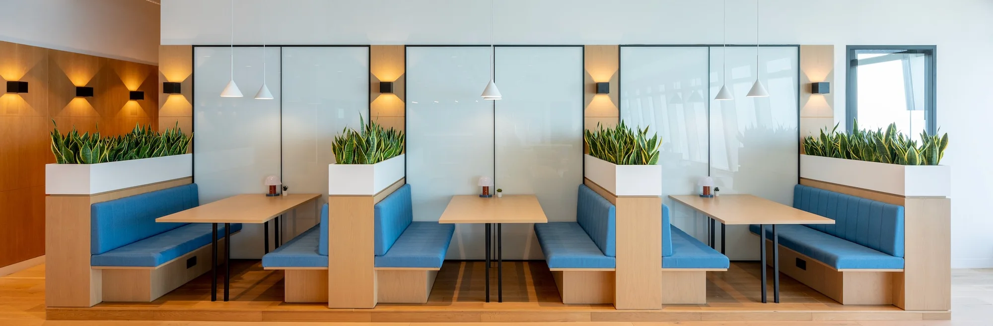 Premium serviced office lounge with blue banquette seating, light wood tables, frosted glass partitions, pendant lights, and planters.